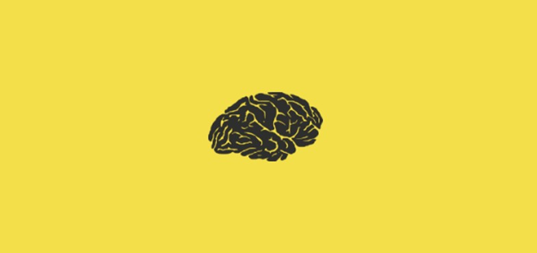 Brain