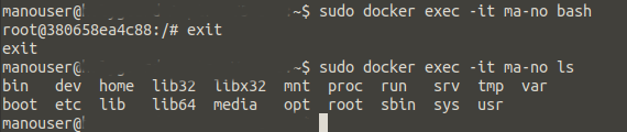 docker exec