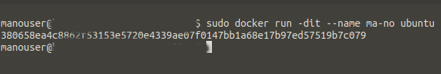 docker run